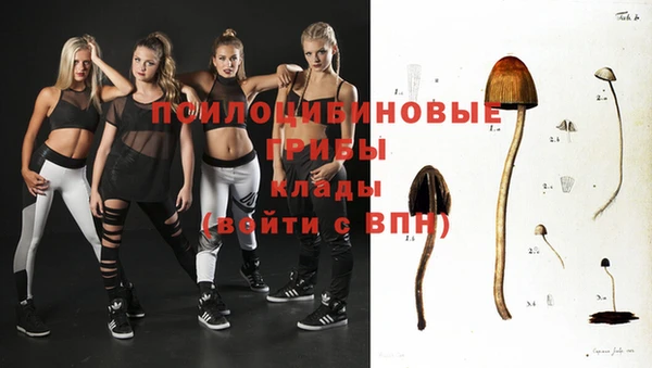 индика Алзамай