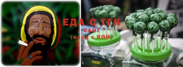 индика Алзамай