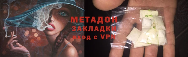 индика Алзамай