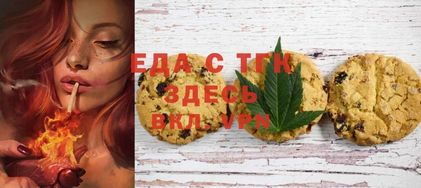 индика Алзамай