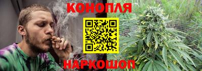 альфа пвп Владивосток