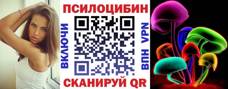 Псилоцибиновые грибы GOLDEN TEACHER  цены   Владимир 