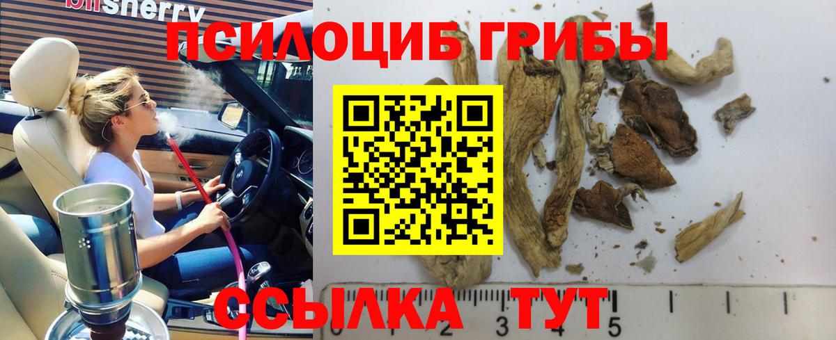 Псилоцибиновые грибы GOLDEN TEACHER Владимир
