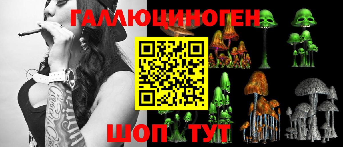 Владимир  Галлюциногенные грибы Psilocybe  Вход с VPN  Галлюциногенные грибы Cubensis 
