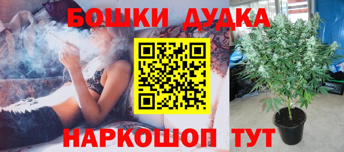 Владимир  Бошки марихуана план  Канабис семена  Бошки марихуана MAZAR  Конопля Amnesia  Вход с VPN 